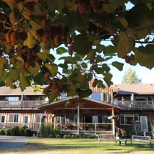 Kiwi Cove Canada